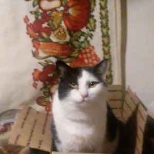 Meet your Posher, Amber